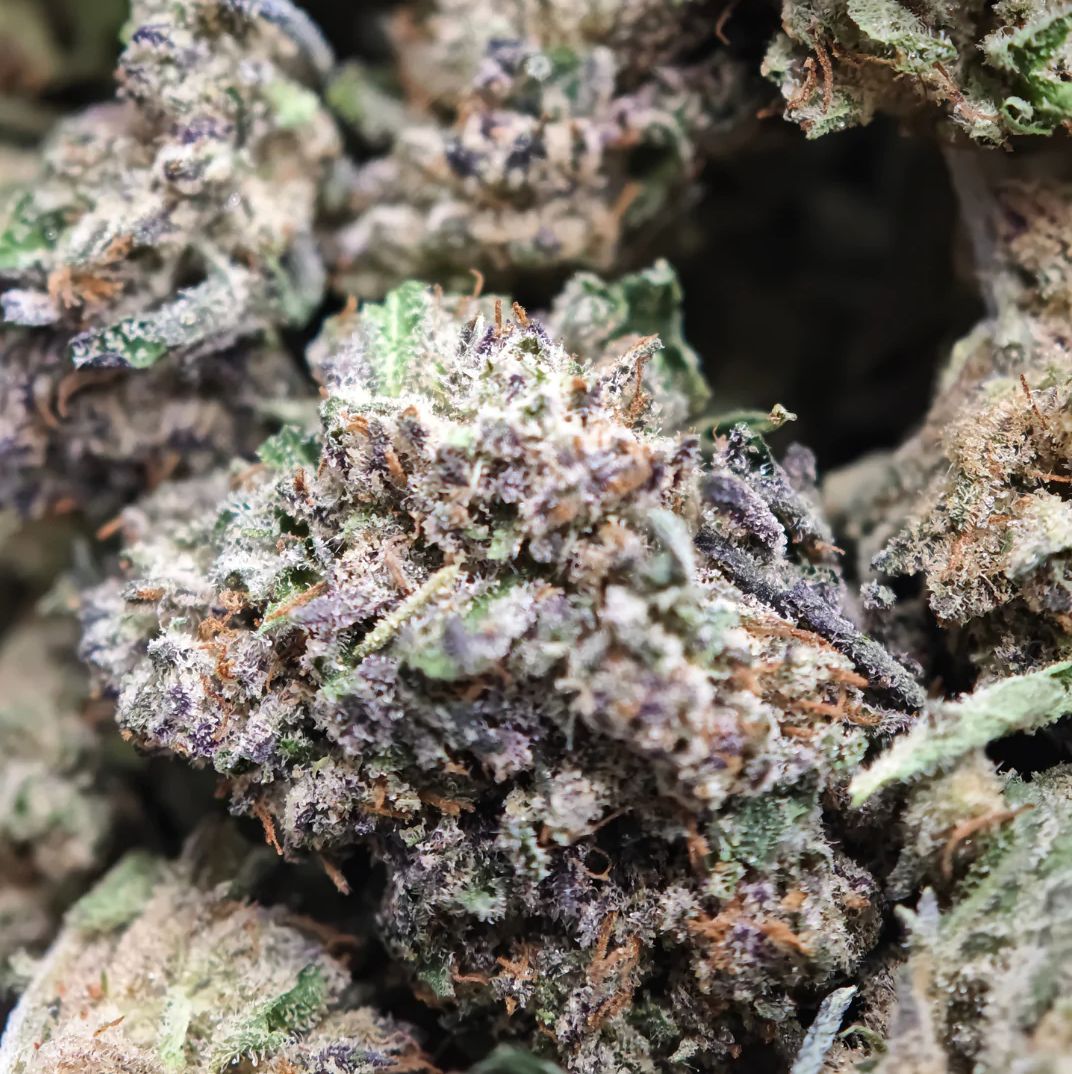 Blue Cheese